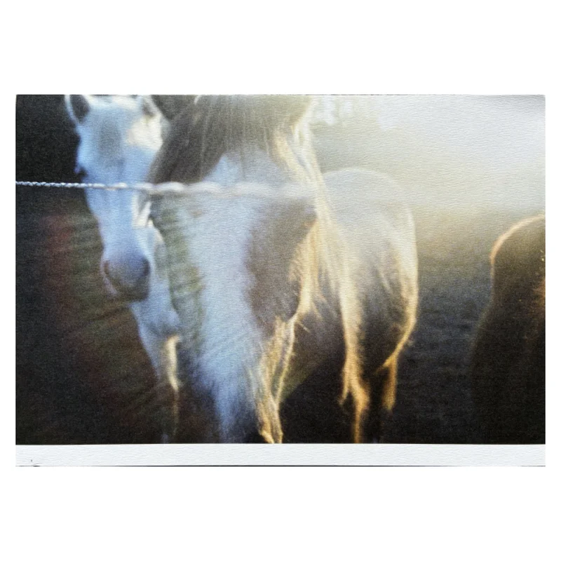 chevalz — image 1