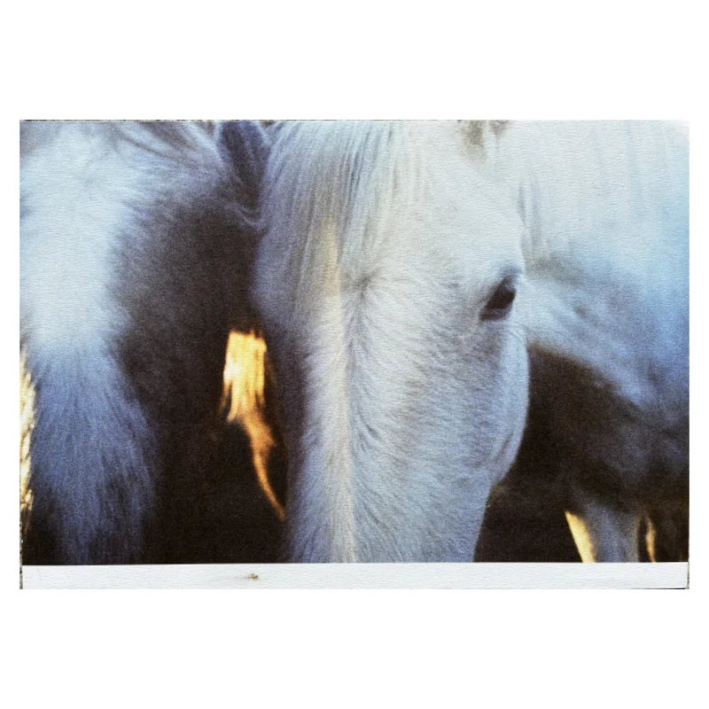 chevalz — image 2