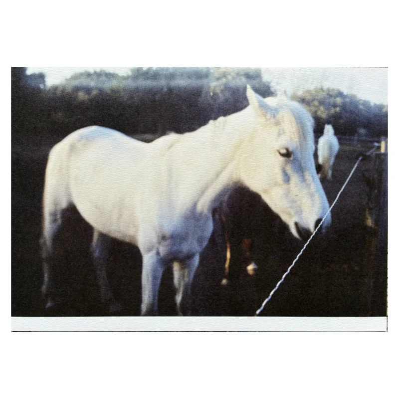 chevalz — image 4