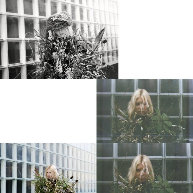 some plants — image 1