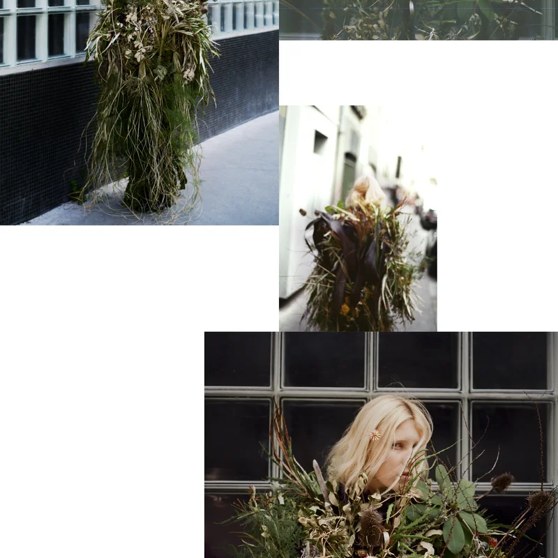 some plants — image 2